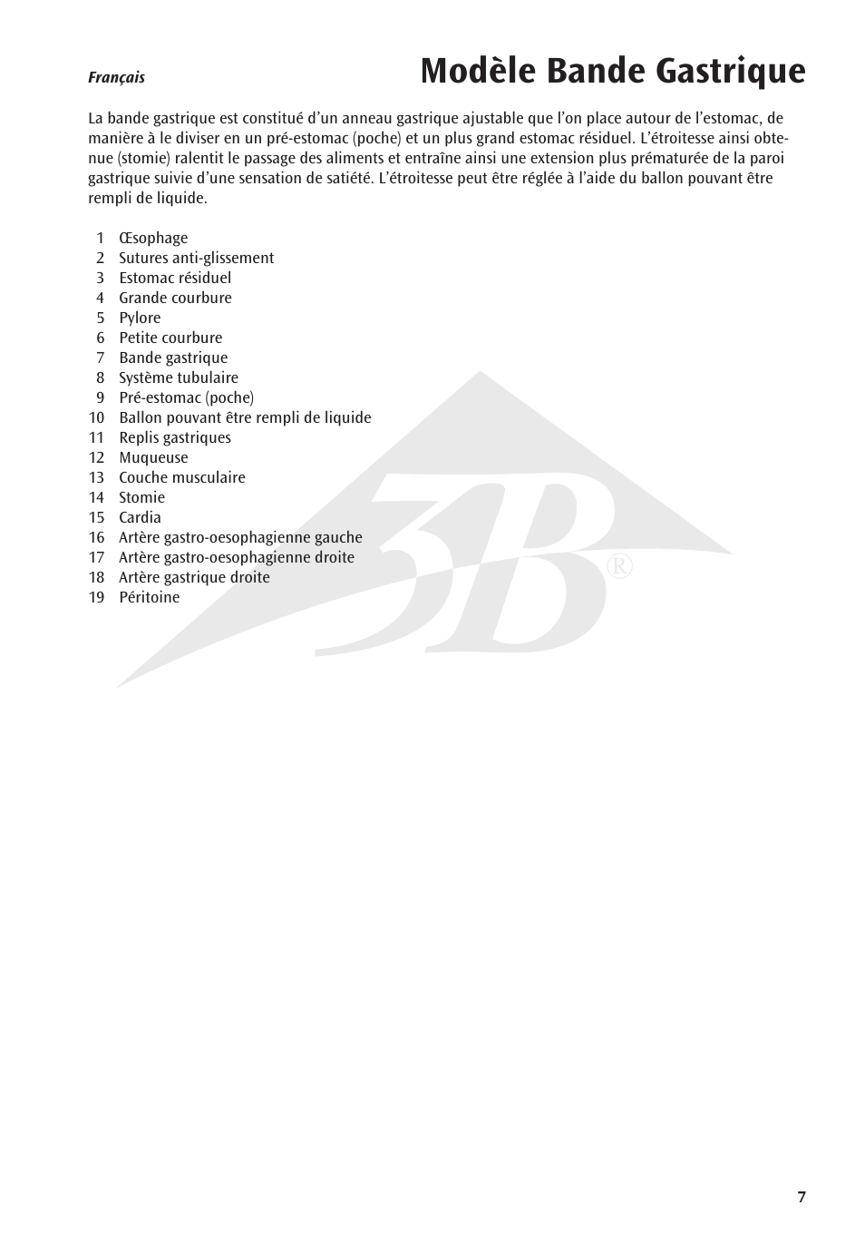 Modèle bande gastrique | 3B Scientific Gastric Band Model User Manual | Page 7 / 16