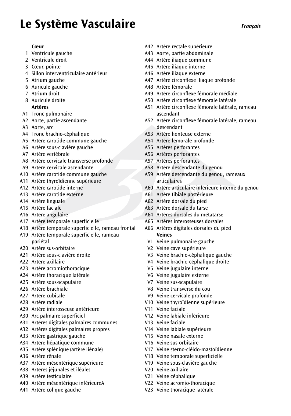 Le système vasculaire | 3B Scientific The Vascular System Chart User Manual | Page 10 / 24