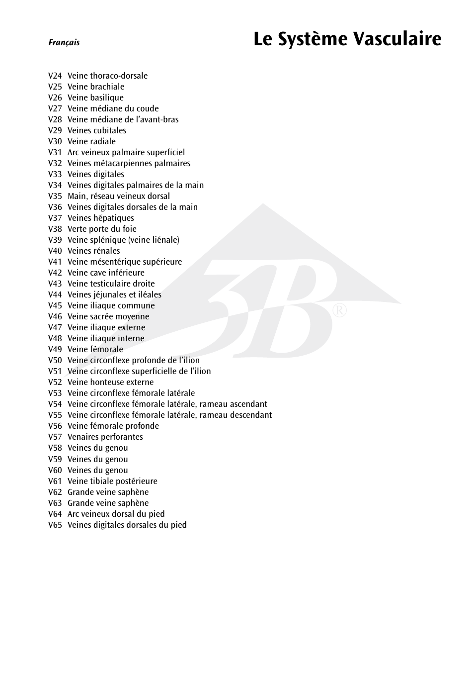 Le système vasculaire | 3B Scientific The Vascular System Chart User Manual | Page 11 / 24