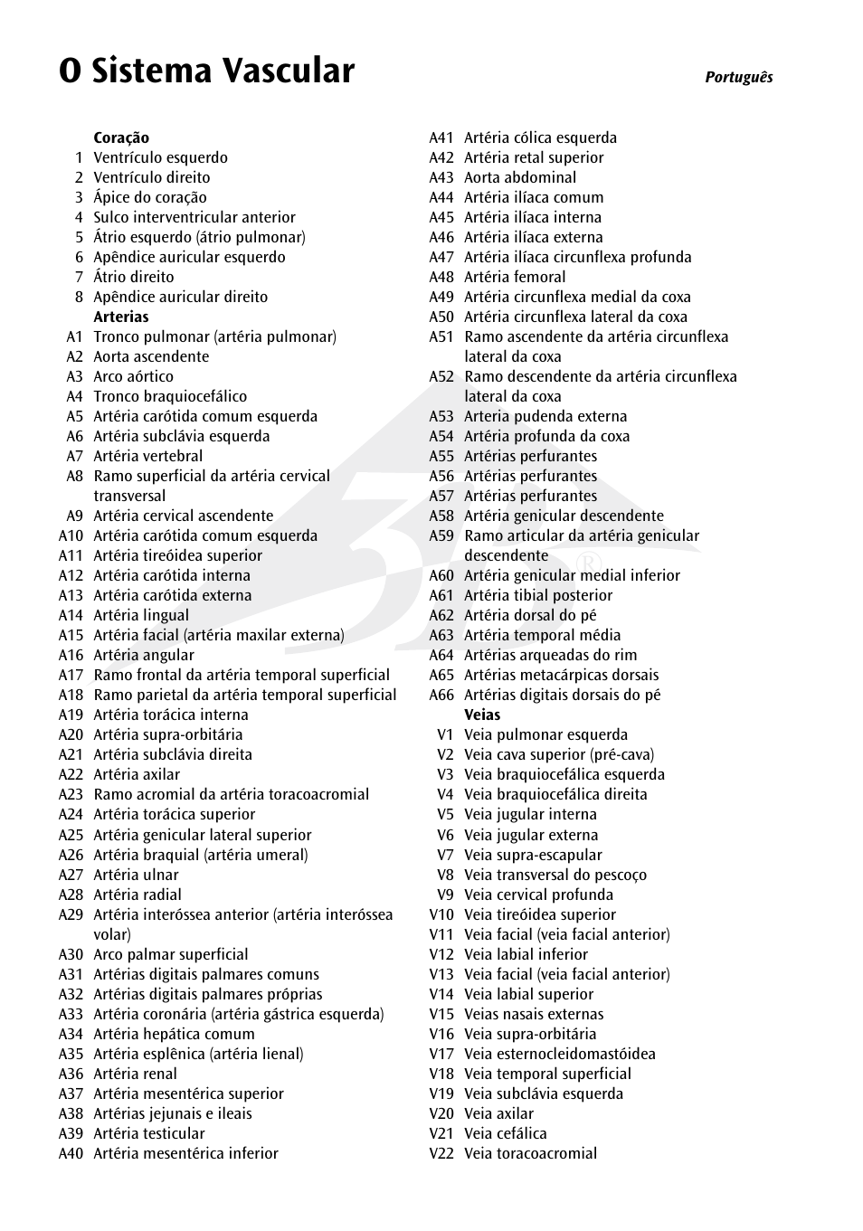 O sistema vascular | 3B Scientific The Vascular System Chart User Manual | Page 12 / 24