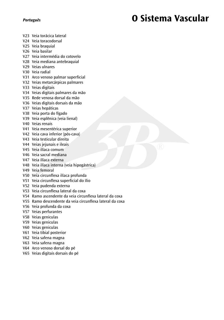 O sistema vascular | 3B Scientific The Vascular System Chart User Manual | Page 13 / 24
