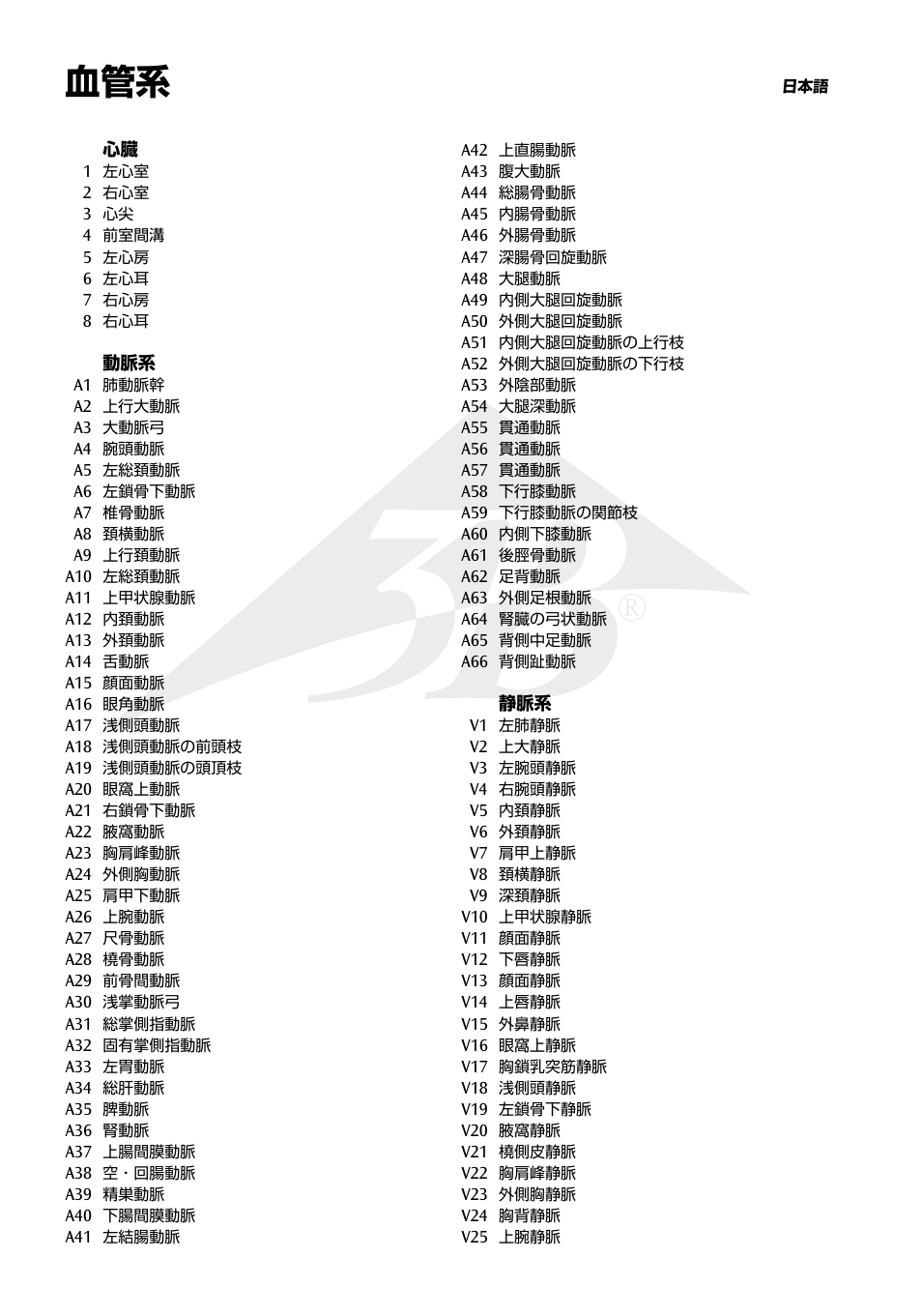 3B Scientific The Vascular System Chart User Manual | Page 16 / 24