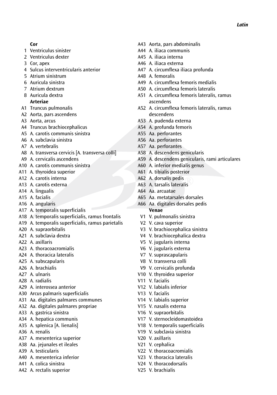 3B Scientific The Vascular System Chart User Manual | Page 2 / 24