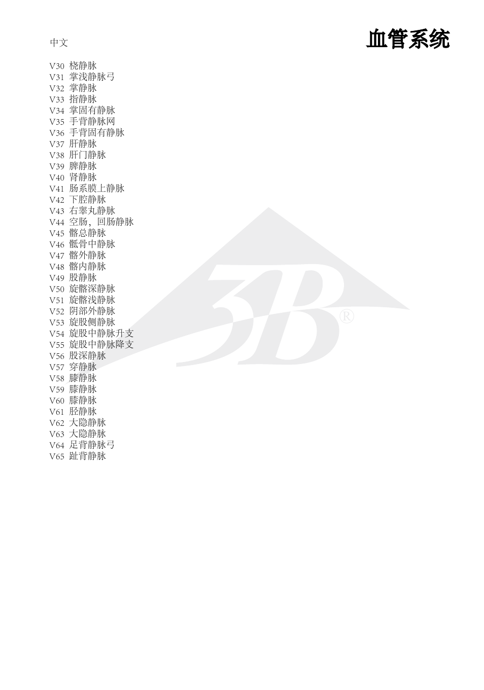 血管系统 | 3B Scientific The Vascular System Chart User Manual | Page 21 / 24