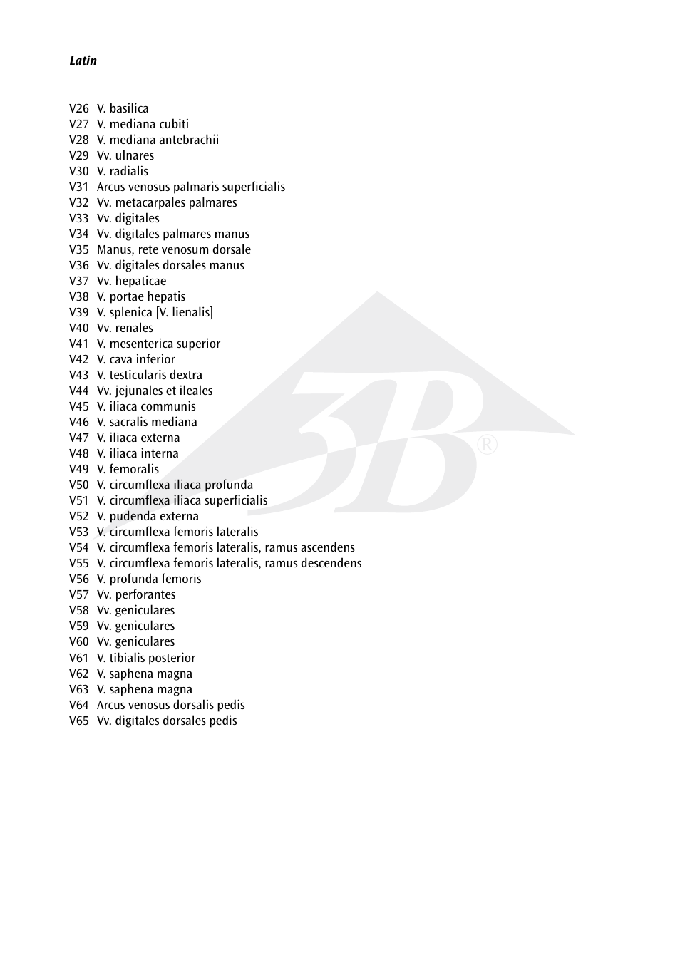 3B Scientific The Vascular System Chart User Manual | Page 3 / 24