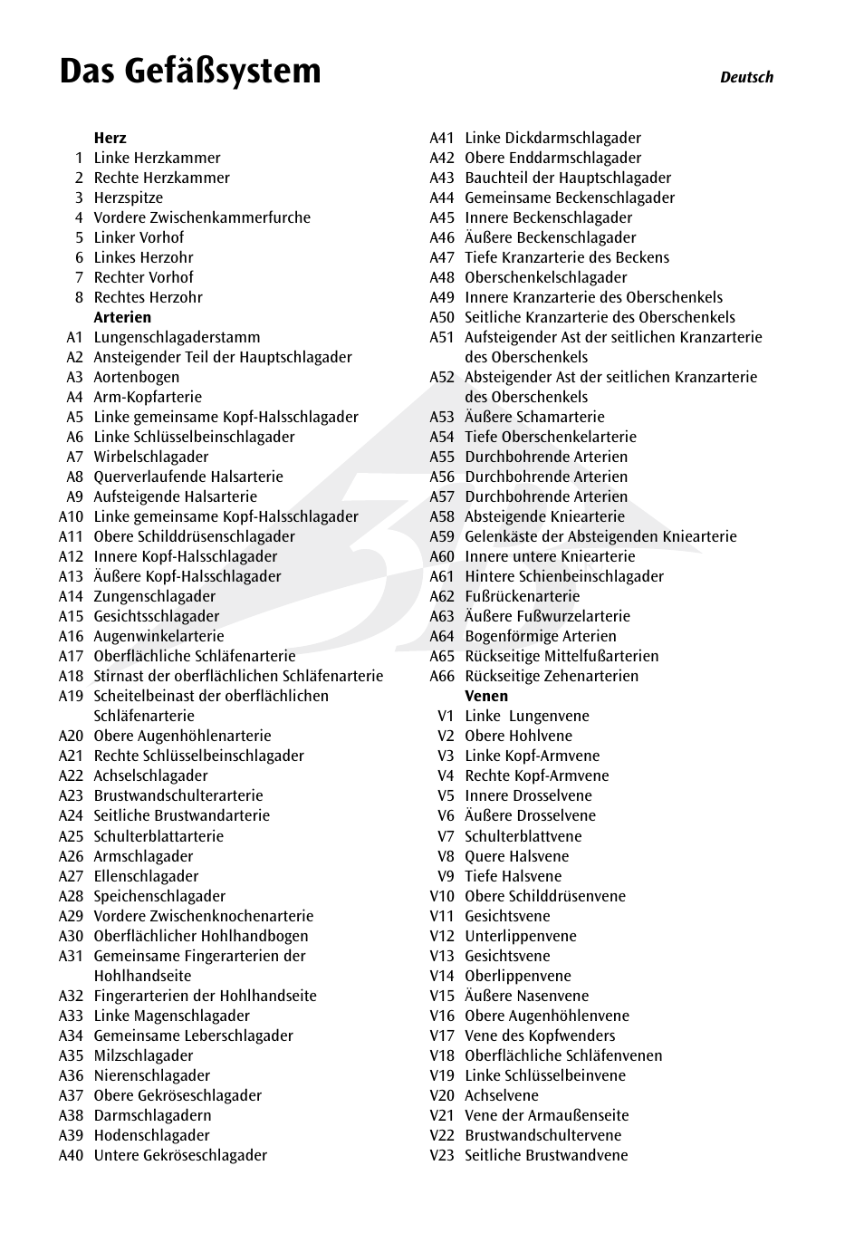 Das gefäßsystem | 3B Scientific The Vascular System Chart User Manual | Page 6 / 24