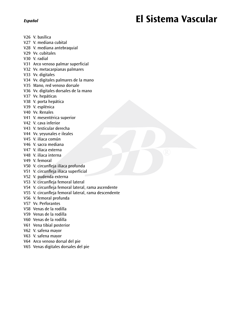 El sistema vascular | 3B Scientific The Vascular System Chart User Manual | Page 9 / 24