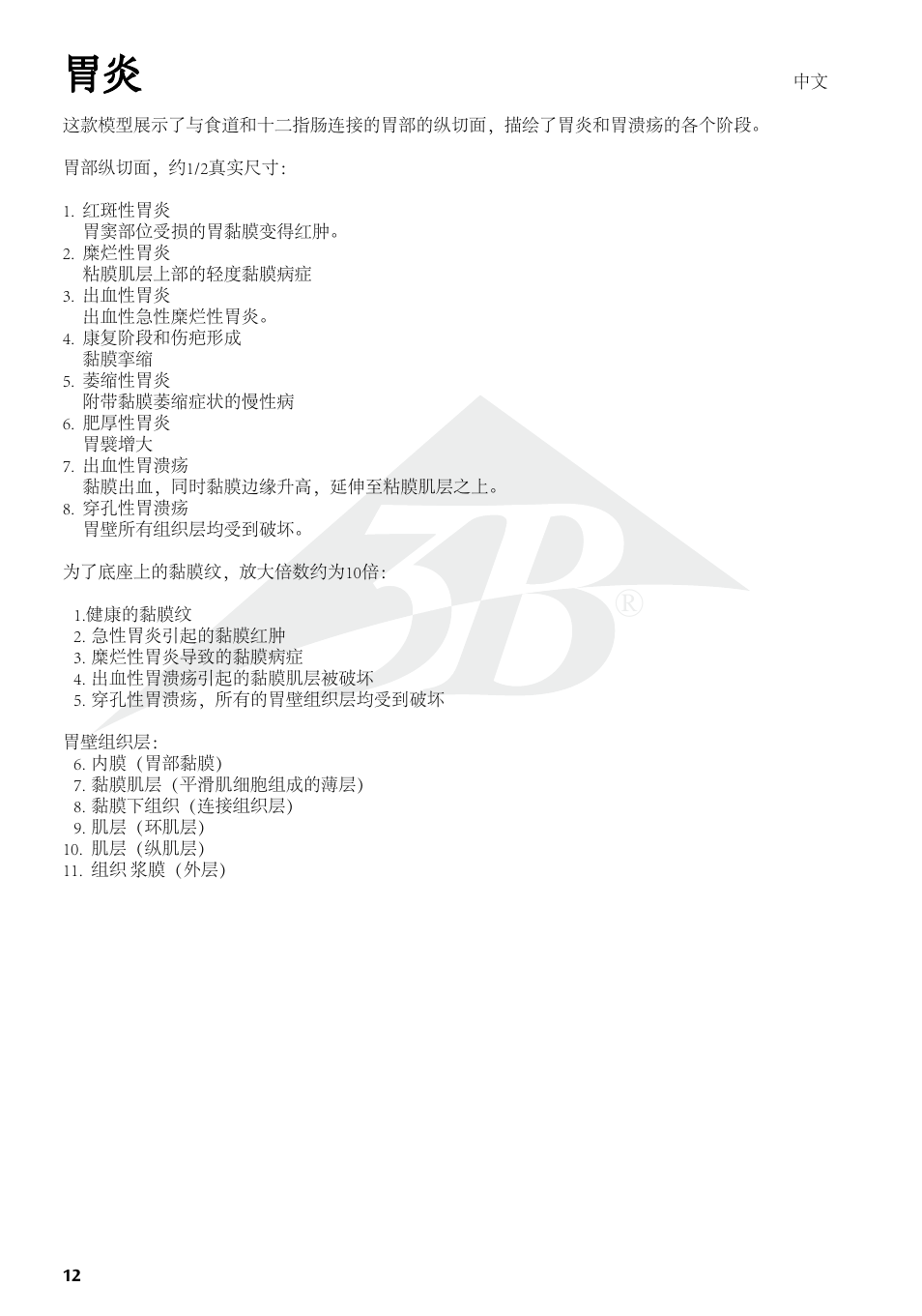 3B Scientific Stomach with Ulcers User Manual | Page 12 / 16
