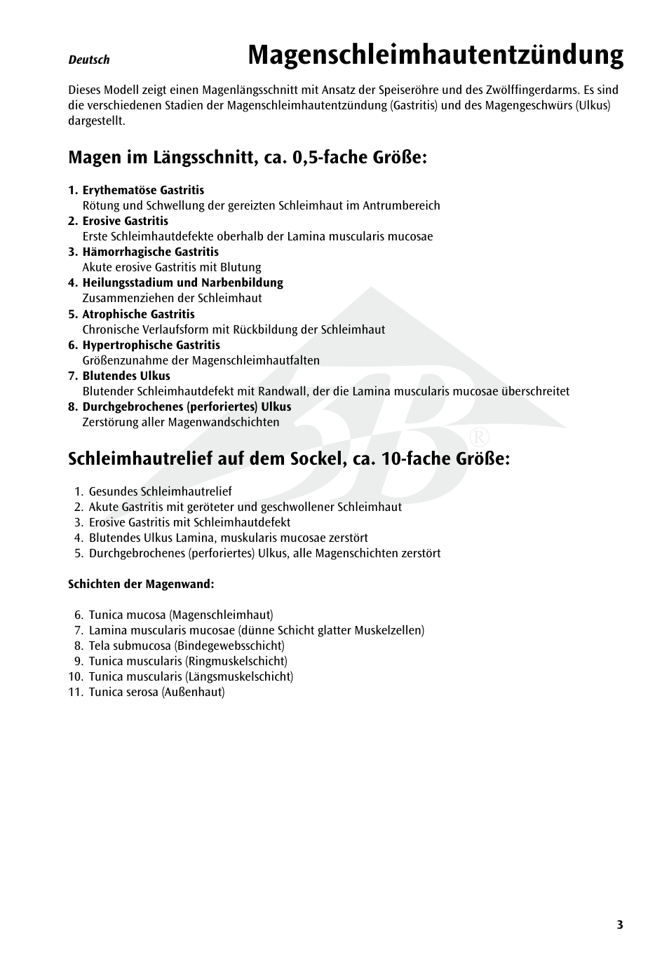 Magenschleimhautentzündung | 3B Scientific Stomach with Ulcers User Manual | Page 3 / 16