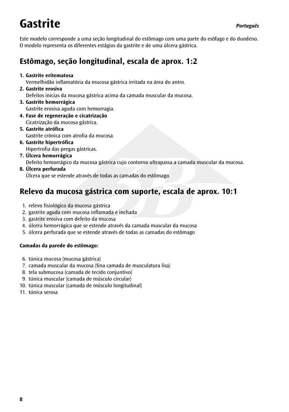 Gastrite | 3B Scientific Stomach with Ulcers User Manual | Page 8 / 16