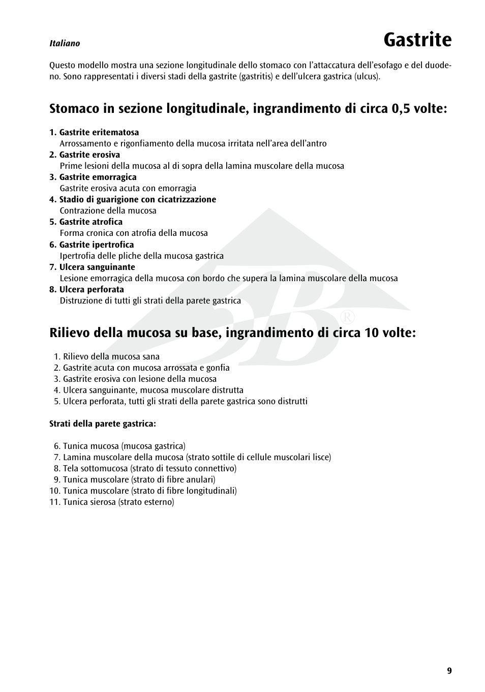 Gastrite | 3B Scientific Stomach with Ulcers User Manual | Page 9 / 16