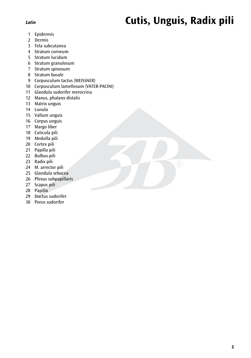 Cutis, unguis, radix pili | 3B Scientific Skin, Hair and Nail Microscopic Structures User Manual | Page 3 / 16