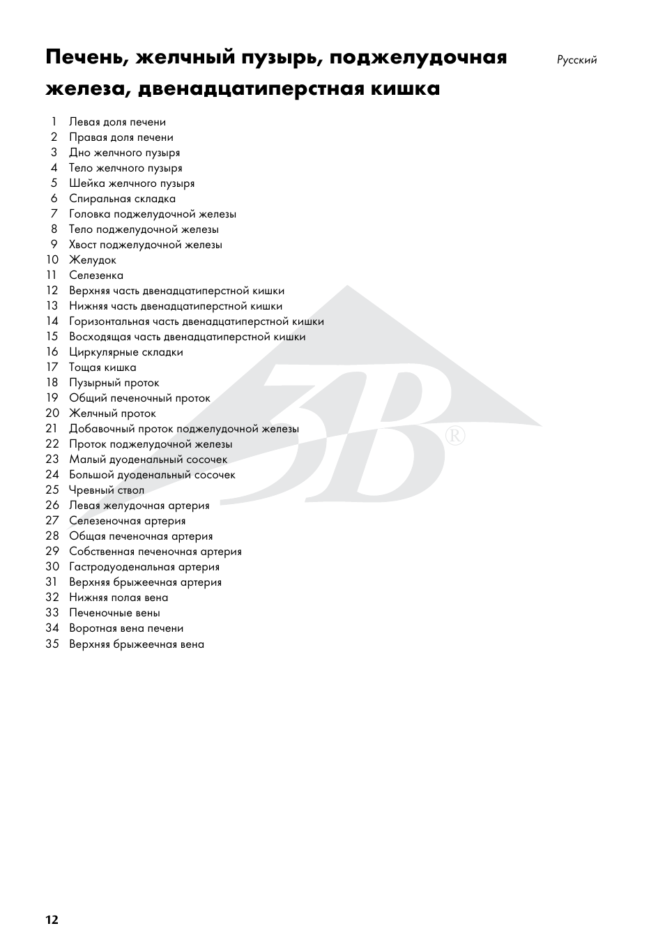3B Scientific Liver with Gall Bladder, Pancreas and Duodenum User Manual | Page 12 / 16