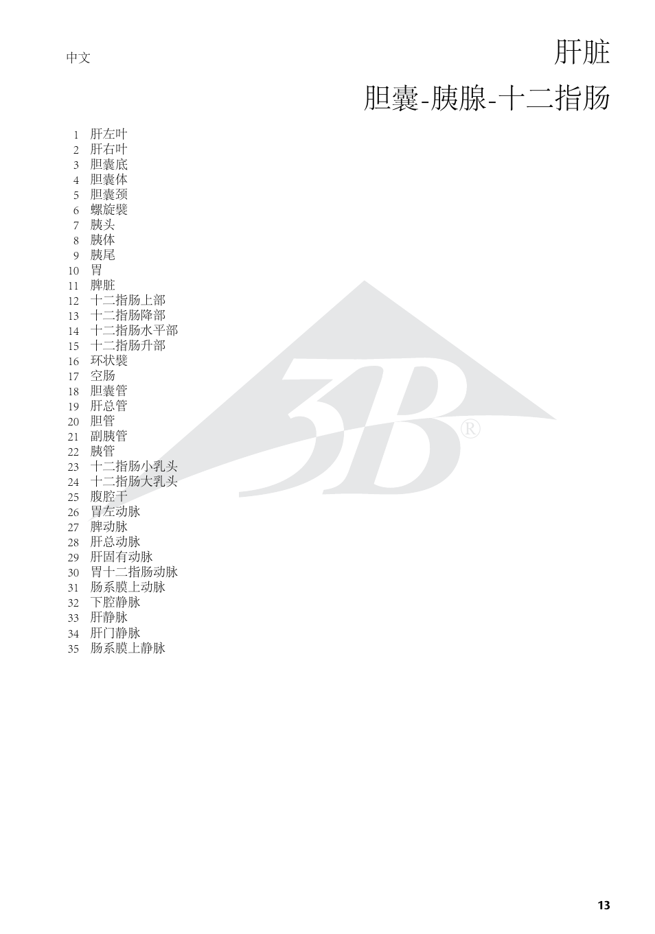 肝脏 胆囊-胰腺-十二指肠 | 3B Scientific Liver with Gall Bladder, Pancreas and Duodenum User Manual | Page 13 / 16