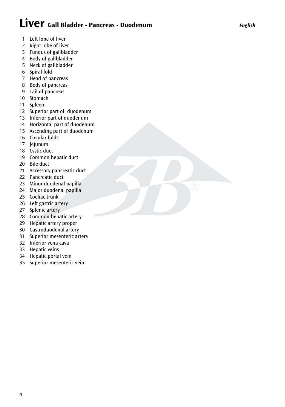 Liver | 3B Scientific Liver with Gall Bladder, Pancreas and Duodenum User Manual | Page 4 / 16