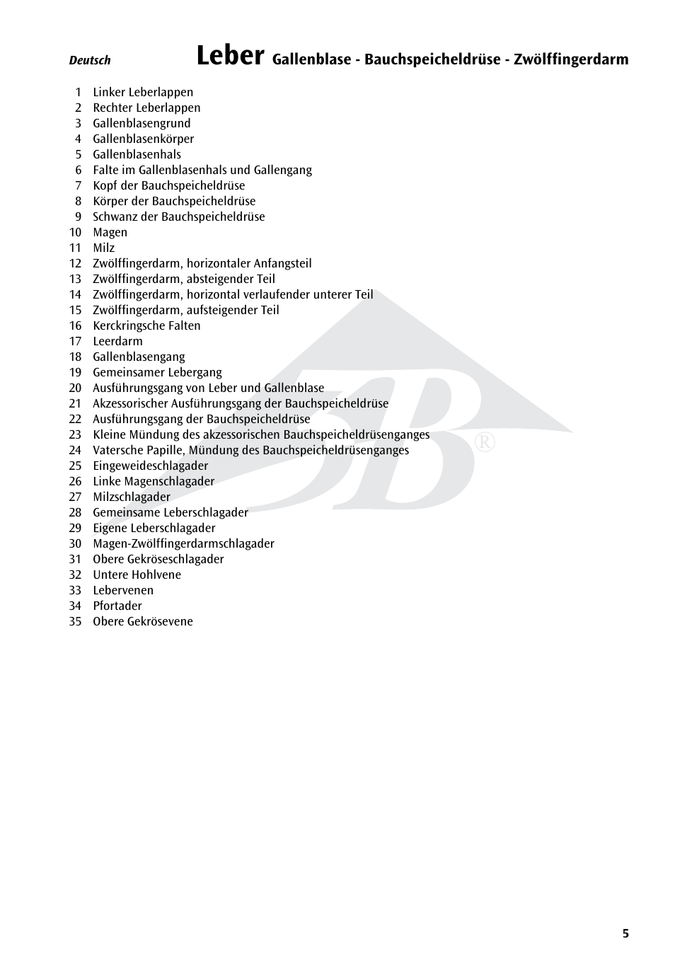 Leber | 3B Scientific Liver with Gall Bladder, Pancreas and Duodenum User Manual | Page 5 / 16