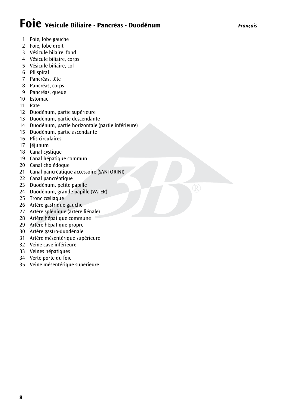 Name, Foie | 3B Scientific Liver with Gall Bladder, Pancreas and Duodenum User Manual | Page 8 / 16