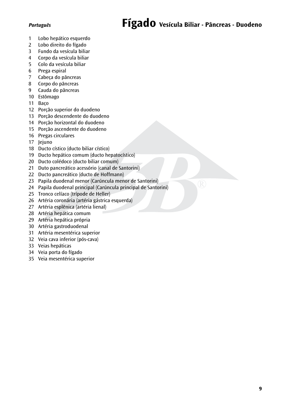 Name, Fígado | 3B Scientific Liver with Gall Bladder, Pancreas and Duodenum User Manual | Page 9 / 16