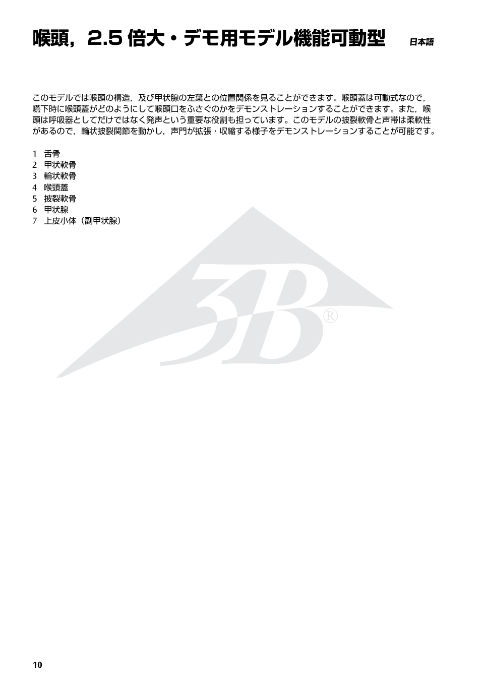 喉頭，2.5 倍大・デモ用モデル機能可動型 | 3B Scientific Functional Larynx Model, 2.5 times full-size User Manual | Page 10 / 12
