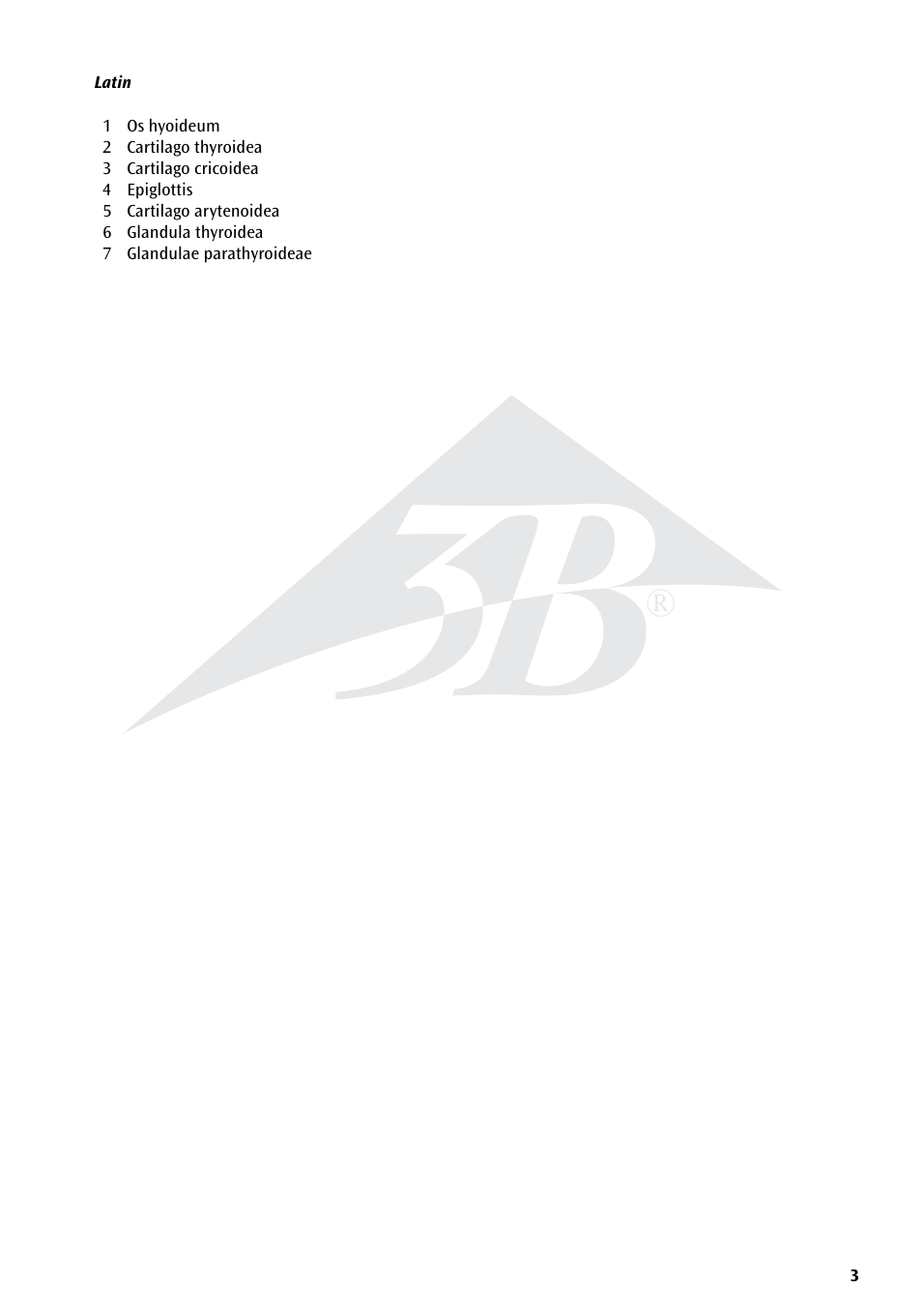 3B Scientific Functional Larynx Model, 2.5 times full-size User Manual | Page 3 / 12