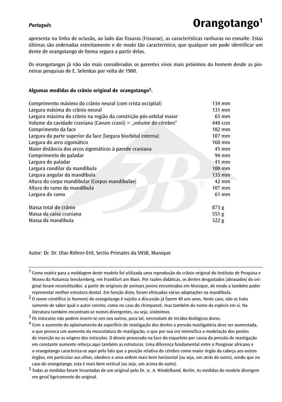 Orangotango | 3B Scientific Orangutan Skull (Pongo pygmaeus), male User Manual | Page 11 / 20