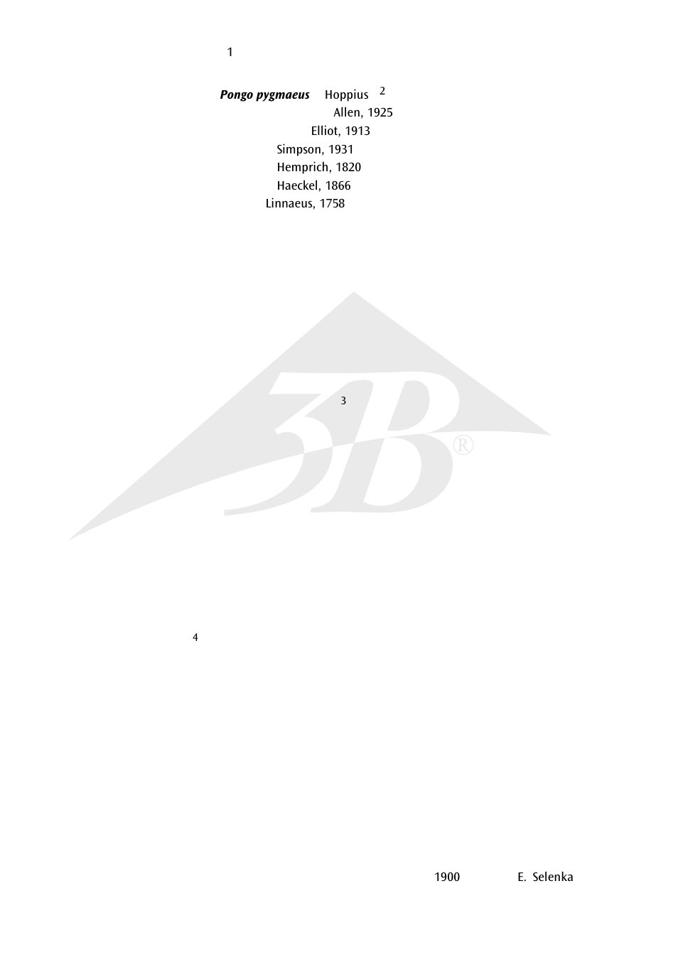 3B Scientific Orangutan Skull (Pongo pygmaeus), male User Manual | Page 14 / 20