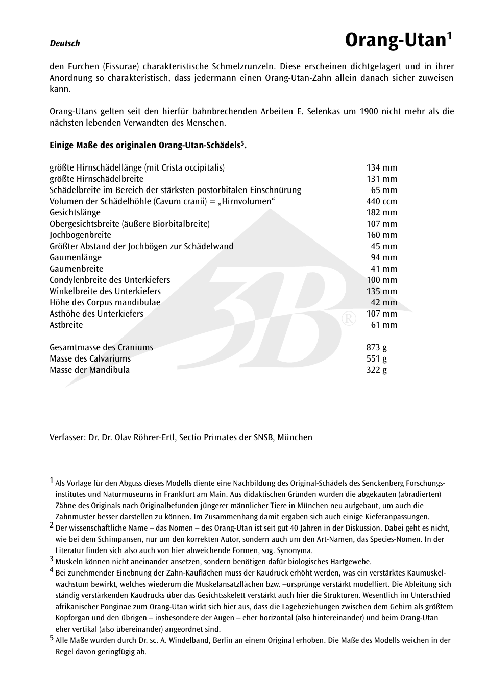 Orang-utan | 3B Scientific Orangutan Skull (Pongo pygmaeus), male User Manual | Page 5 / 20