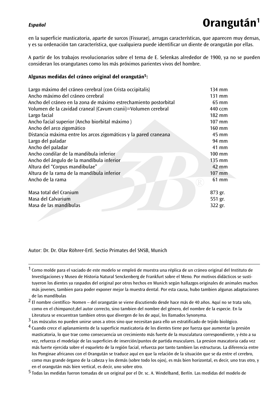 Orangután | 3B Scientific Orangutan Skull (Pongo pygmaeus), male User Manual | Page 7 / 20