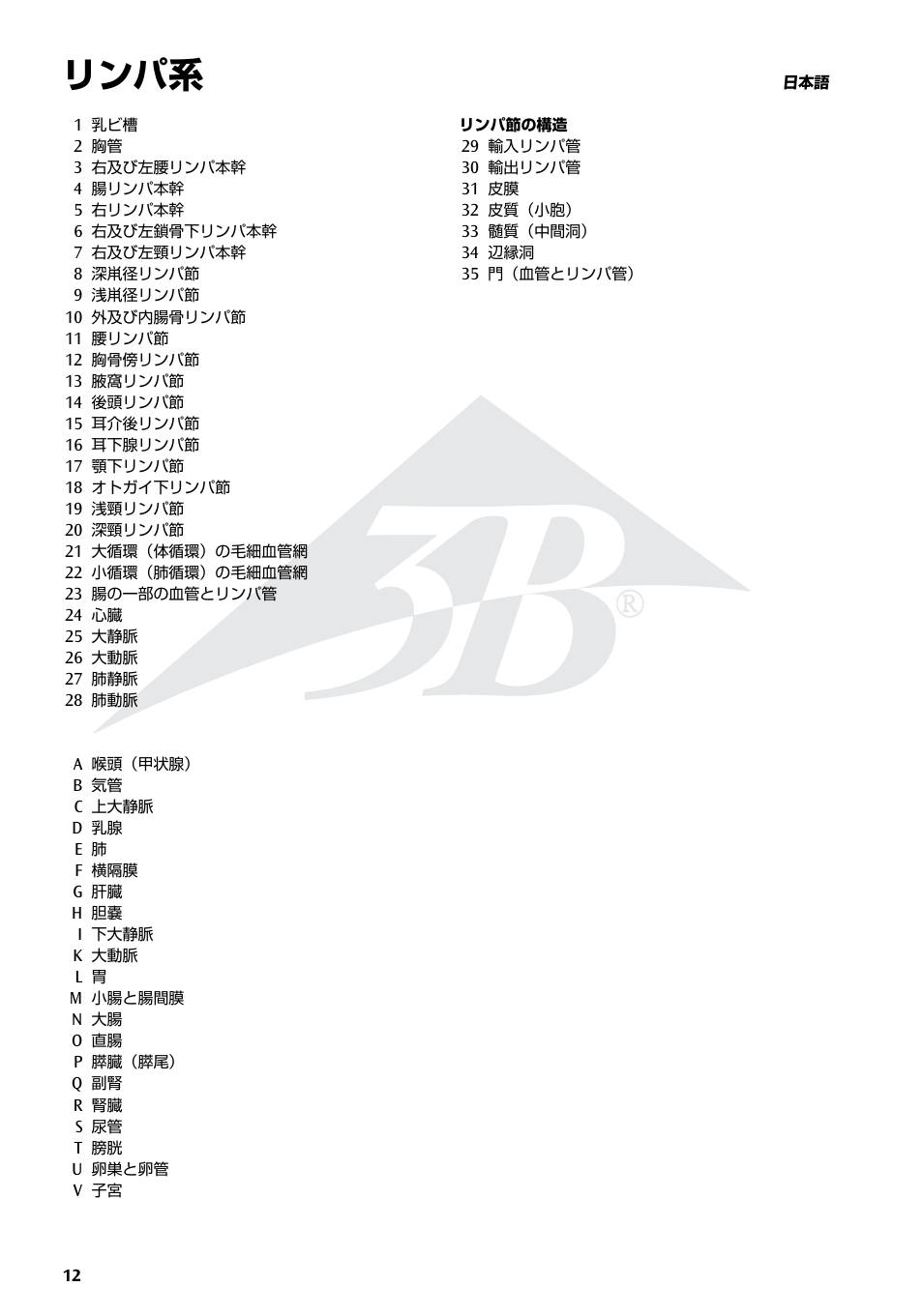 リンパ系 | 3B Scientific The Lymphatic System Chart User Manual | Page 12 / 16