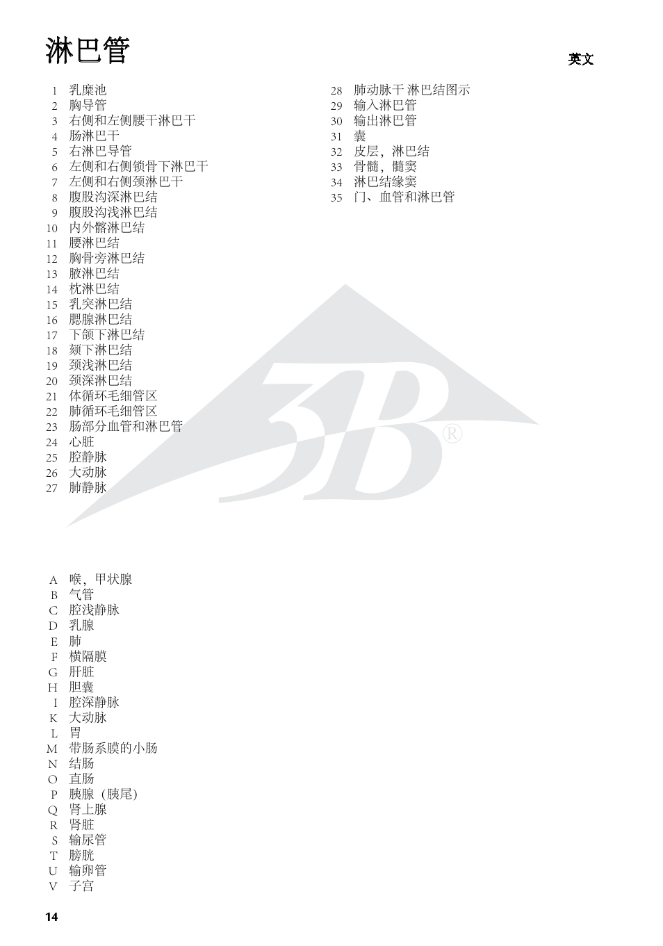 3B Scientific The Lymphatic System Chart User Manual | Page 14 / 16