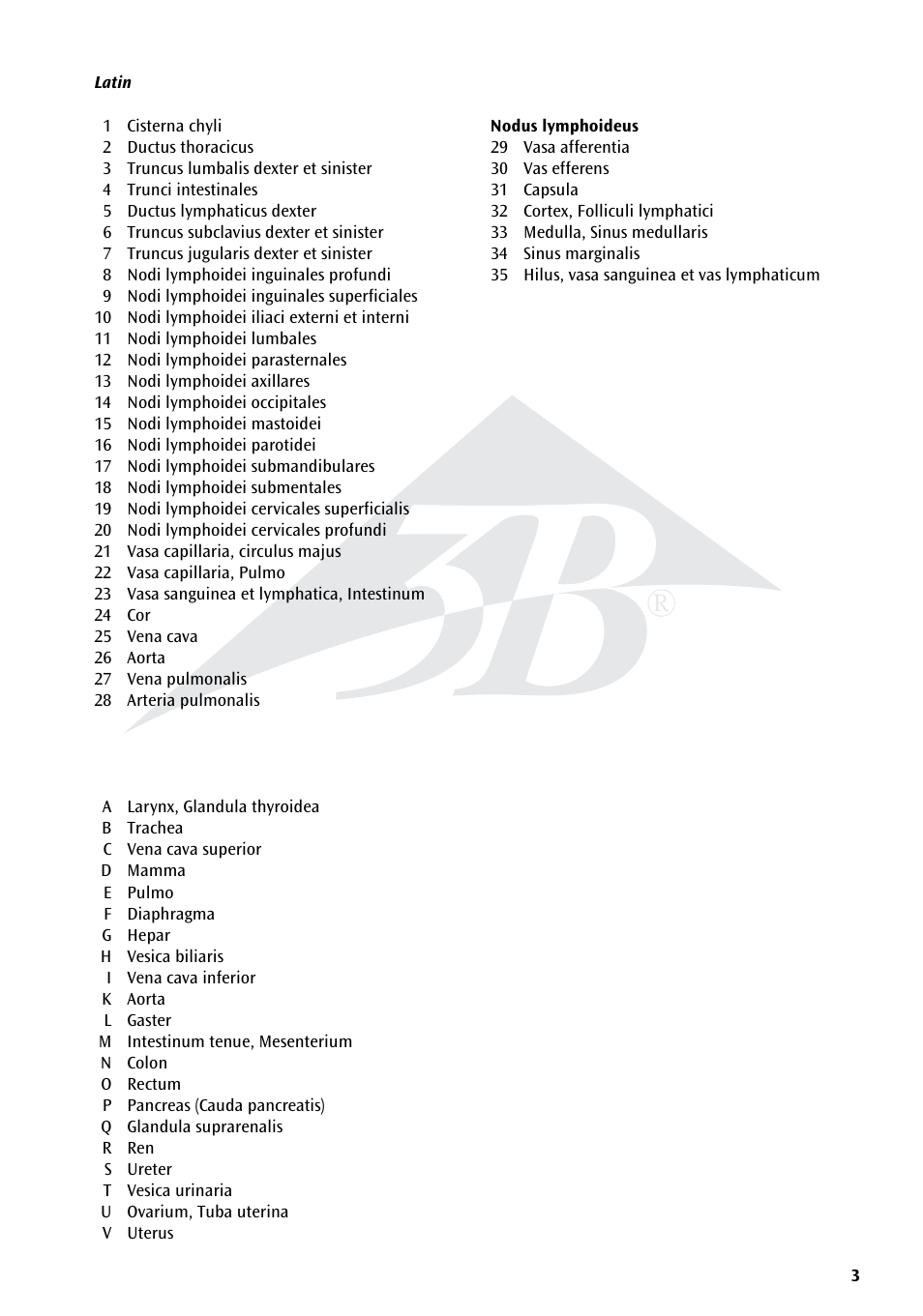 3B Scientific The Lymphatic System Chart User Manual | Page 3 / 16