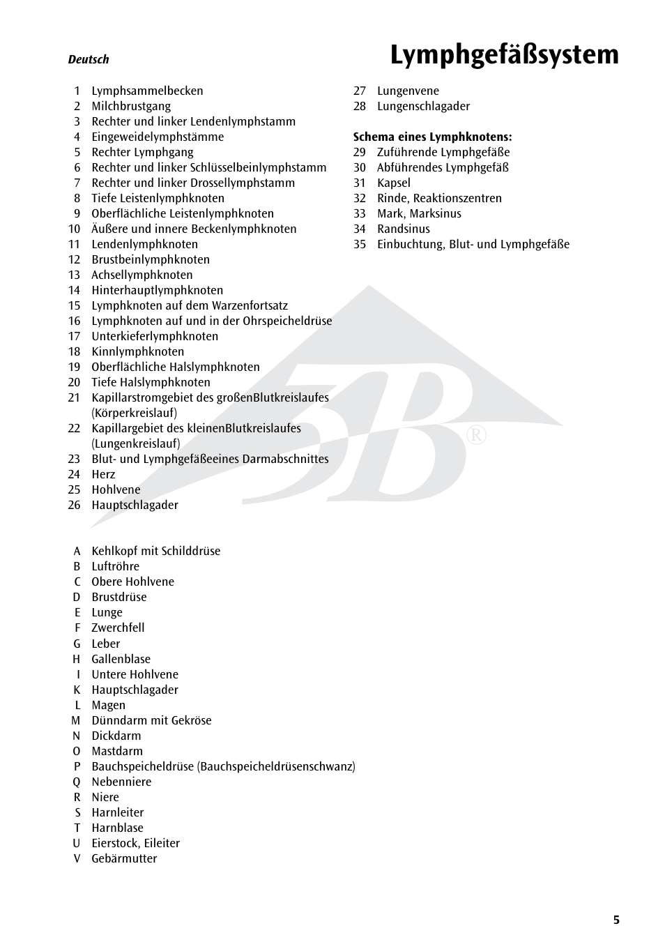 Lymphgefäßsystem | 3B Scientific The Lymphatic System Chart User Manual | Page 5 / 16