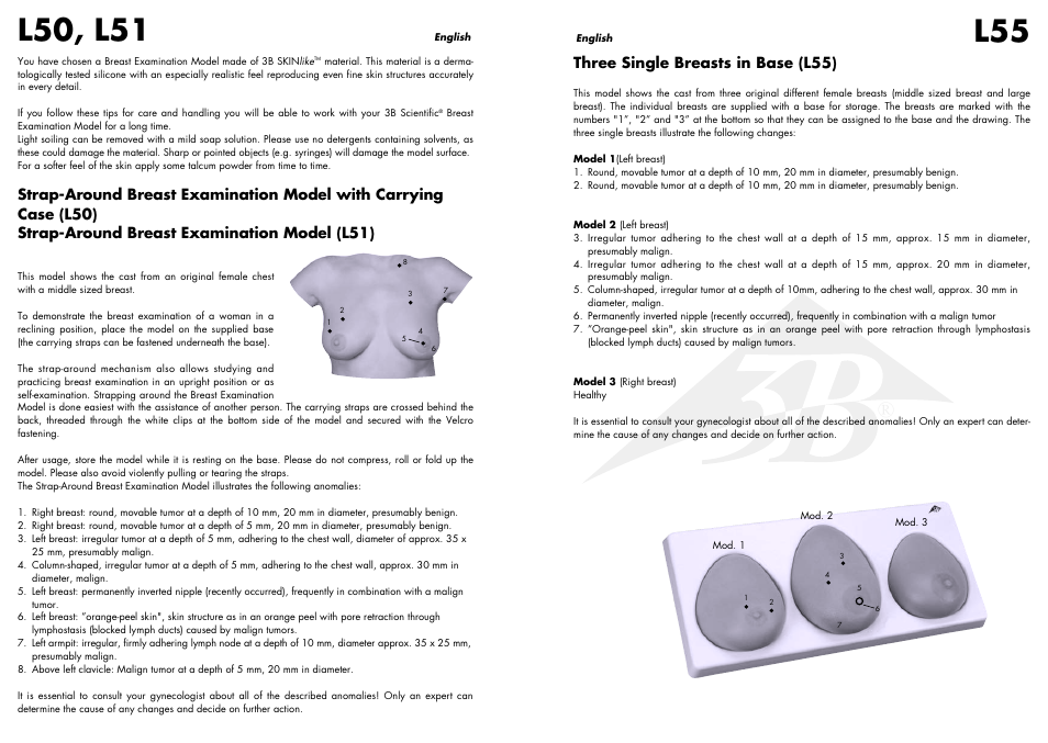 L50, l51, Three single breasts in base (l55) | 3B Scientific Wearable Breast Self Examination Model User Manual | Page 2 / 14