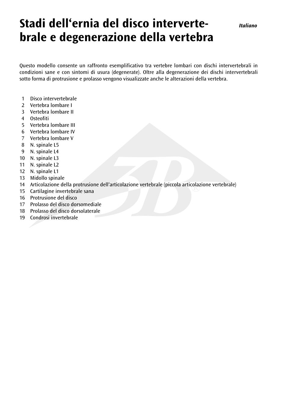 3B Scientific Stages of disc prolapse and vertebral degeneration User Manual | Page 16 / 18