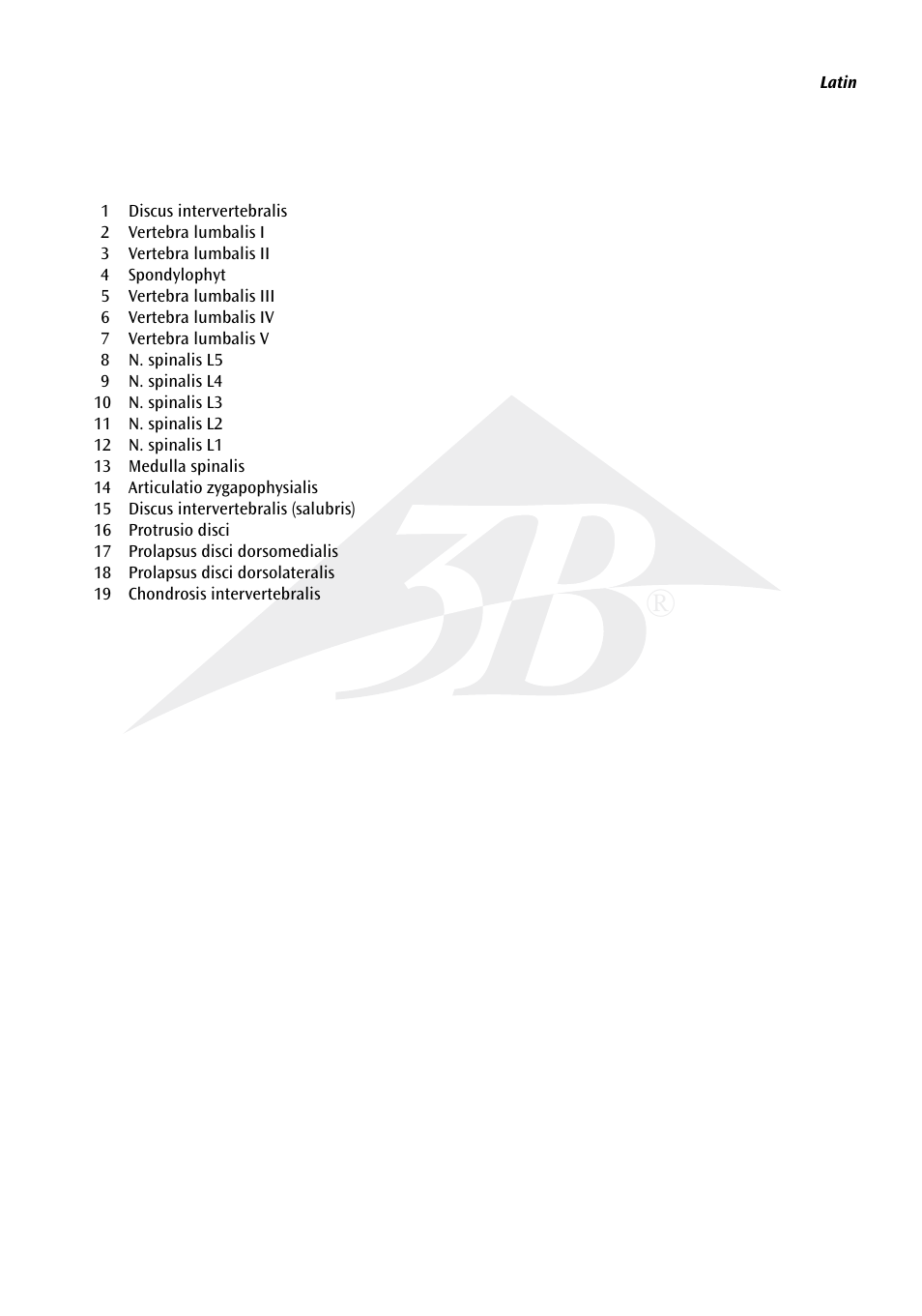 3B Scientific Stages of disc prolapse and vertebral degeneration User Manual | Page 3 / 18