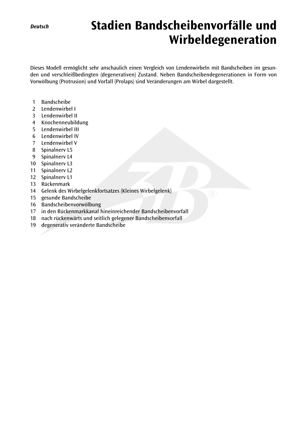 3B Scientific Stages of disc prolapse and vertebral degeneration User Manual | Page 5 / 18