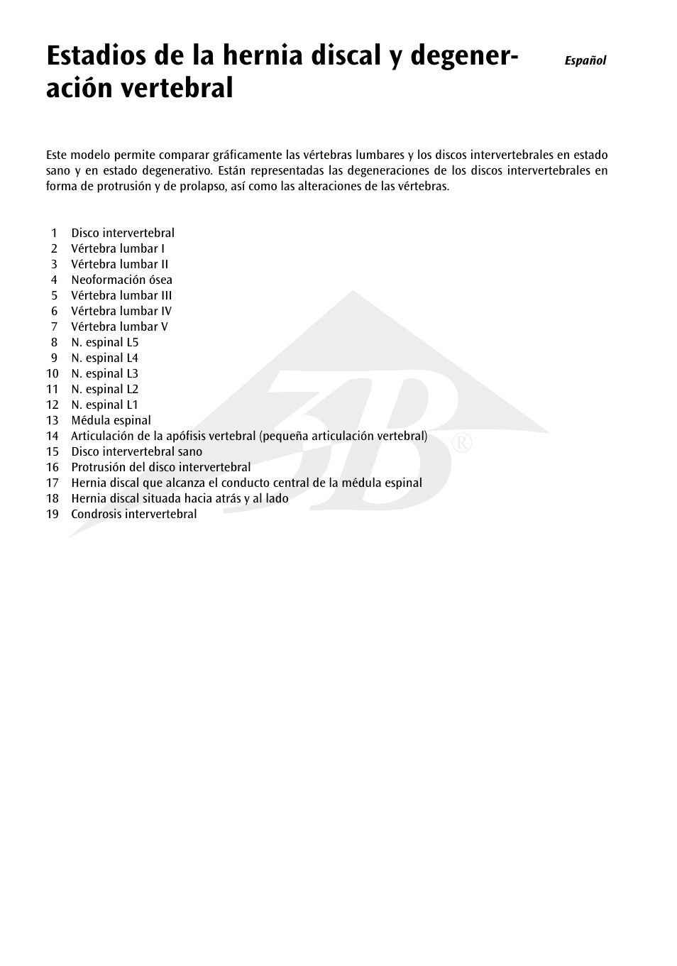 3B Scientific Stages of disc prolapse and vertebral degeneration User Manual | Page 6 / 18