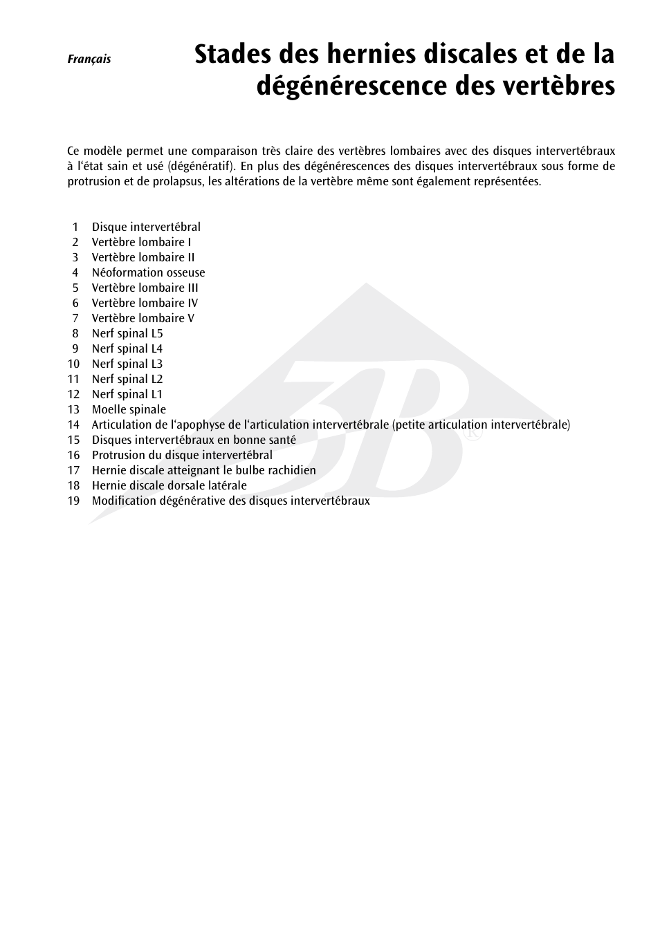 3B Scientific Stages of disc prolapse and vertebral degeneration User Manual | Page 7 / 18