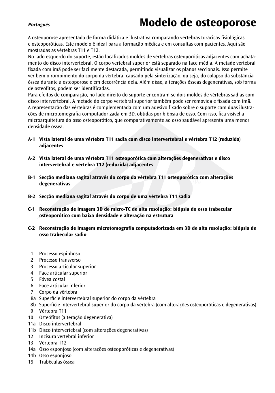 Modelo de osteoporose | 3B Scientific Osteoporosis Model User Manual | Page 10 / 15