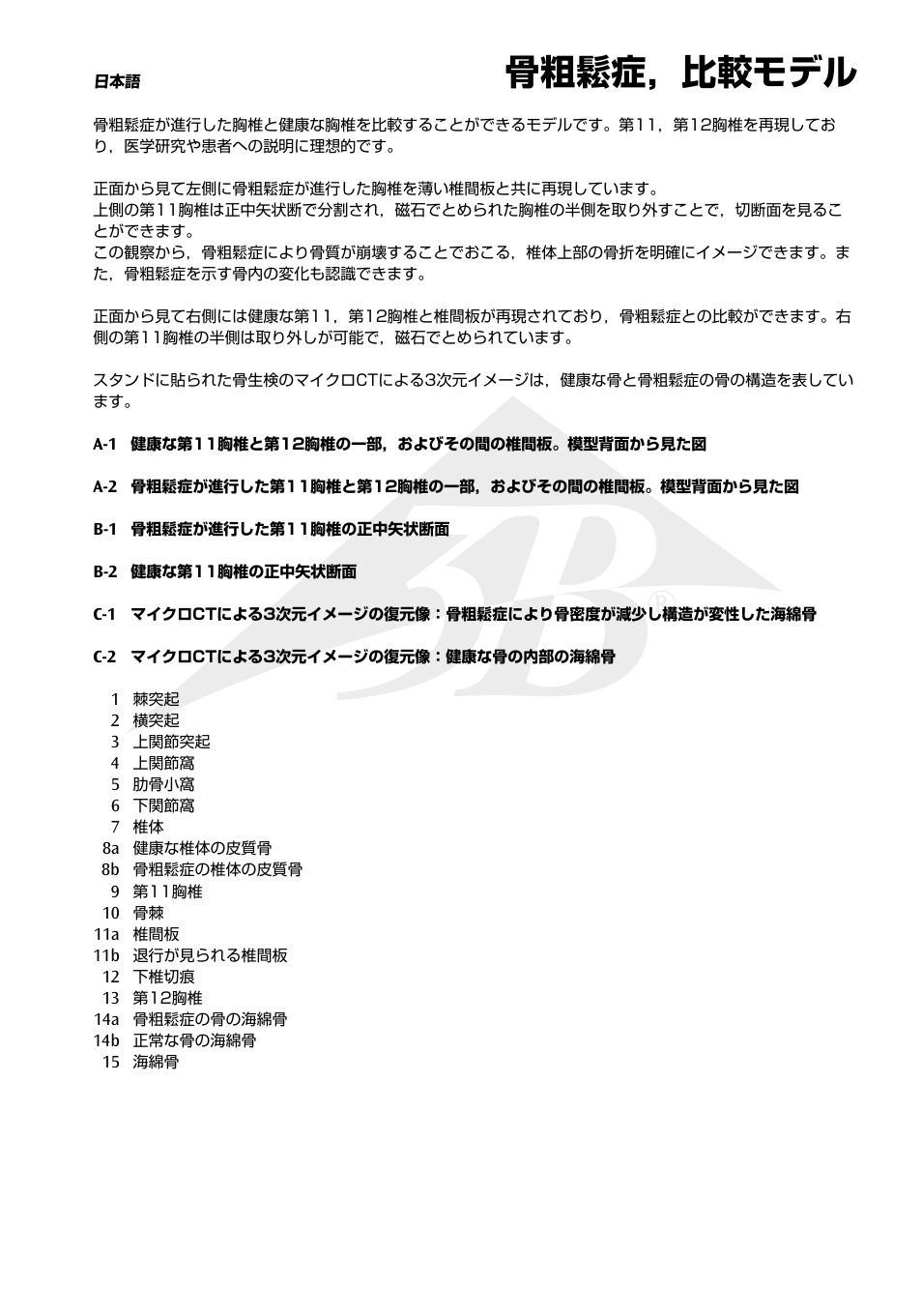 骨粗鬆症，比較モデル | 3B Scientific Osteoporosis Model User Manual | Page 12 / 15