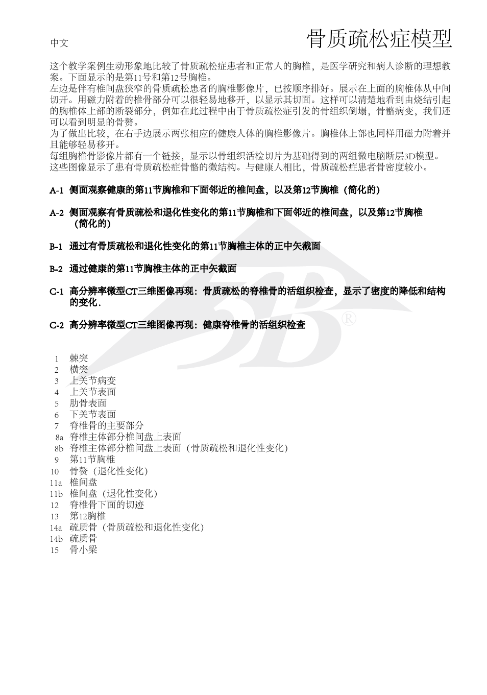 骨质疏松症模型 | 3B Scientific Osteoporosis Model User Manual | Page 14 / 15