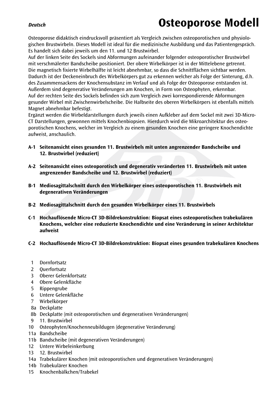 Osteoporose modell | 3B Scientific Osteoporosis Model User Manual | Page 4 / 15