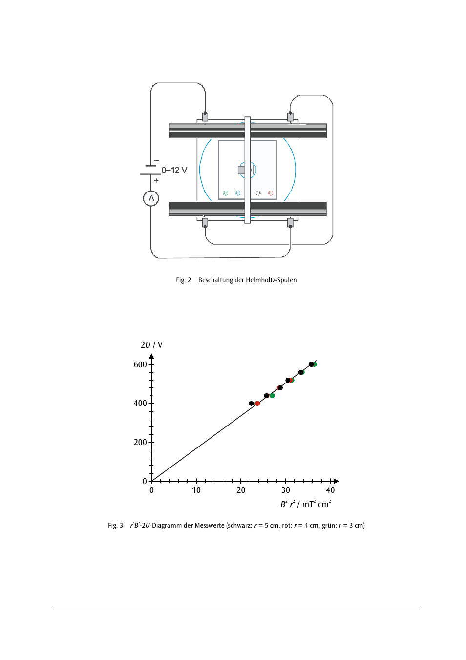 3B Scientific Fine Beam Tube T User Manual | Page 4 / 36