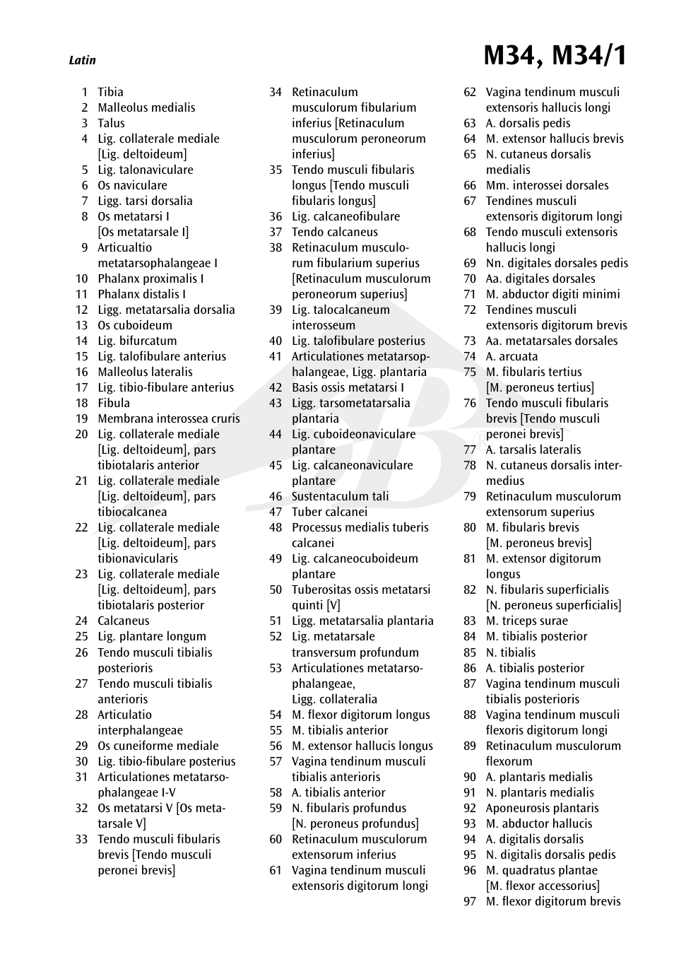 3B Scientific Foot Skeleton Model with Ligaments and Muscles User Manual | Page 2 / 43