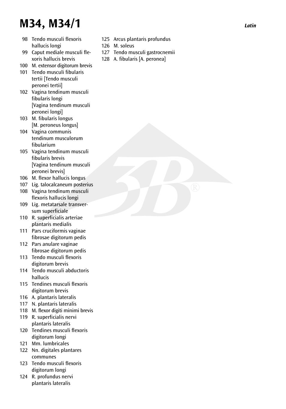 3B Scientific Foot Skeleton Model with Ligaments and Muscles User Manual | Page 3 / 43