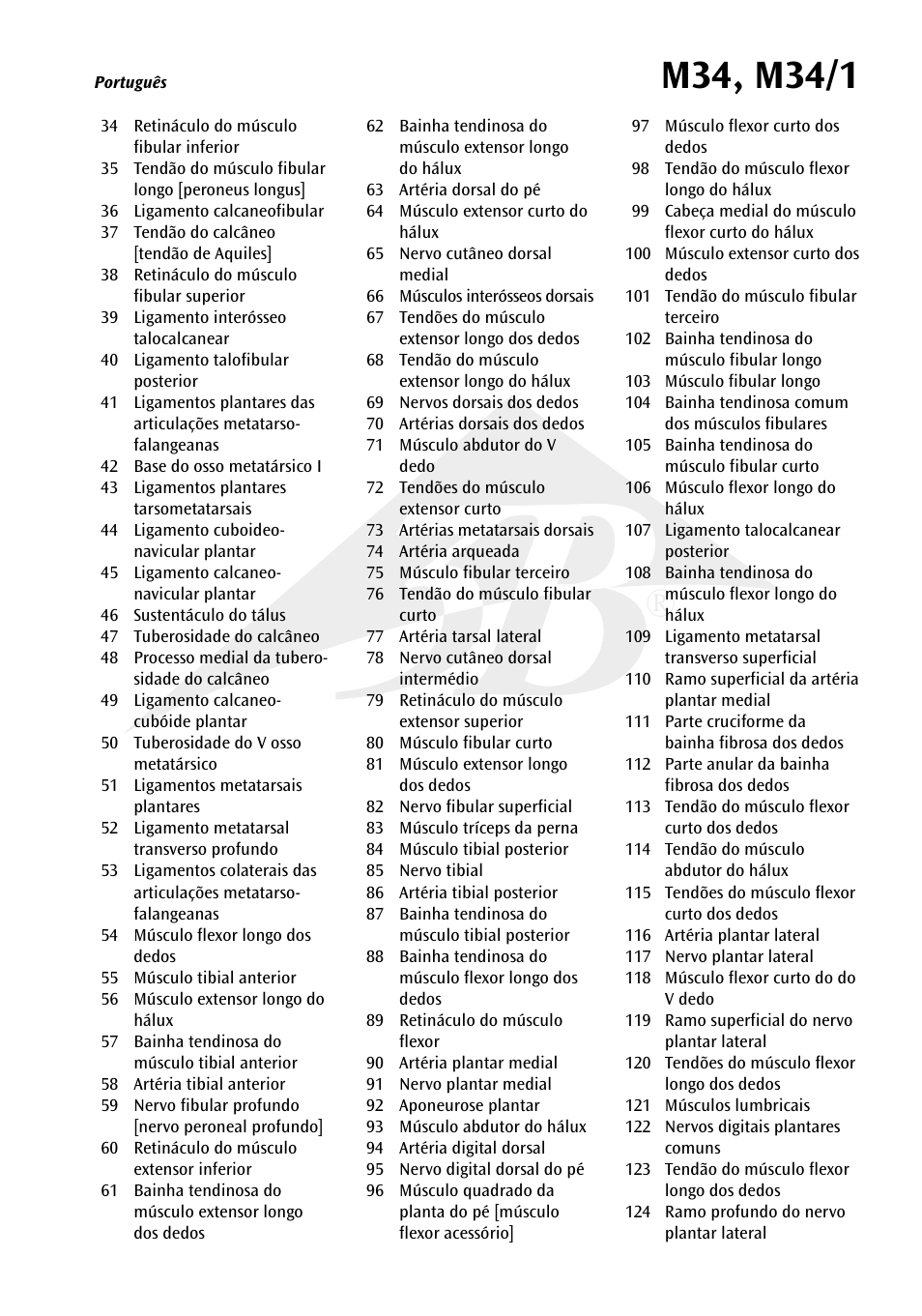 3B Scientific Foot Skeleton Model with Ligaments and Muscles User Manual | Page 30 / 43