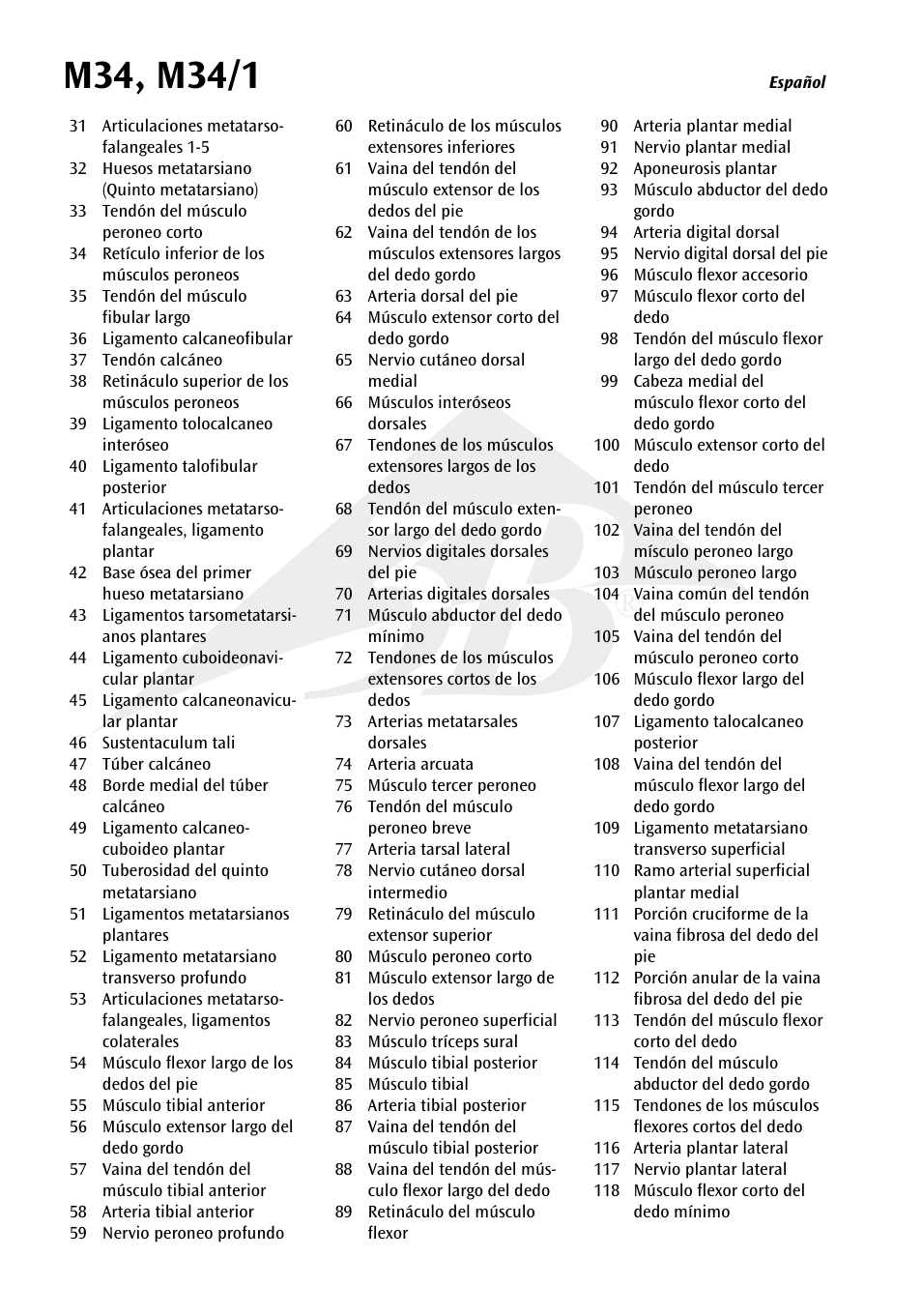 3B Scientific Foot Skeleton Model with Ligaments and Muscles User Manual | Page 9 / 43