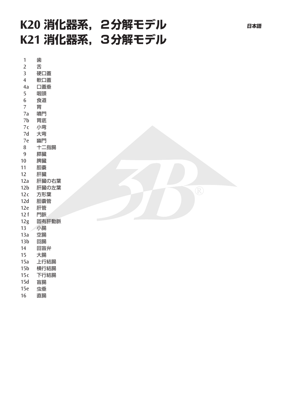 消化器系，２分解モデル, 消化器系，３分解モデル | 3B Scientific Digestive System, 2 part User Manual | Page 10 / 12