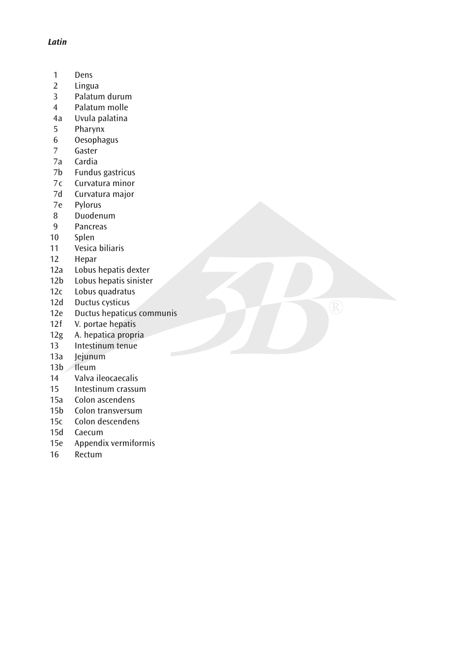 3B Scientific Digestive System, 2 part User Manual | Page 3 / 12