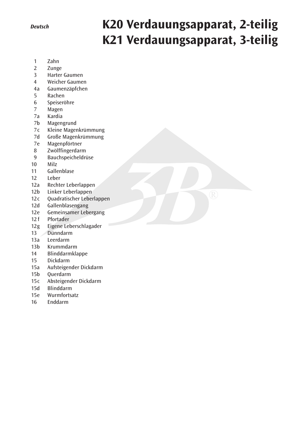 3B Scientific Digestive System, 2 part User Manual | Page 5 / 12